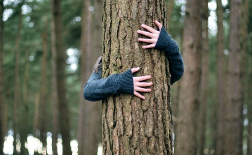 Спрятался на дереве: в Запорожье полицейские задержали грабителя