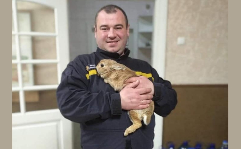 В Харькове пожарные спасли кролика из горящей квартиры