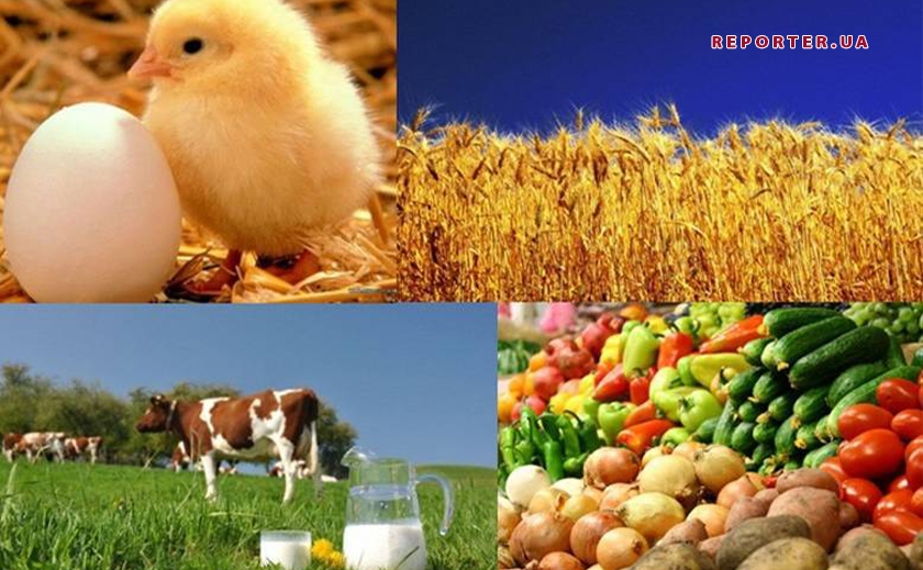 Продовольственная и сельскохозяйственная организация Объединенных Наций планирует помочь украинским фермерам