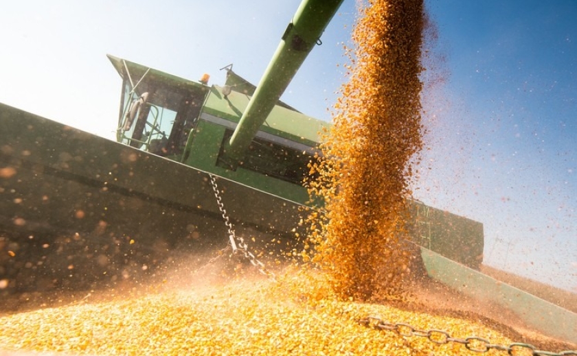 Литва вызвалась помочь Украине вывезти нереализованное зерно прошлогоднего урожая