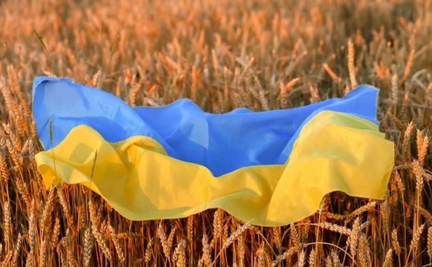 Украина имеет запасы зерна для удовлетворения внутреннего и мирового спроса до 2023 года