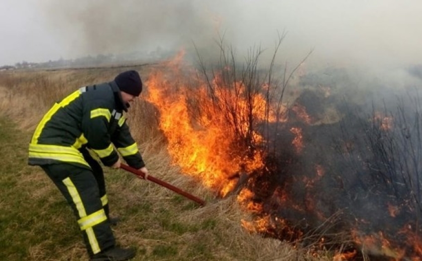 Великі штрафи та навіть в’язниця: що загрожує українцям за спалювання листя та сухої трави